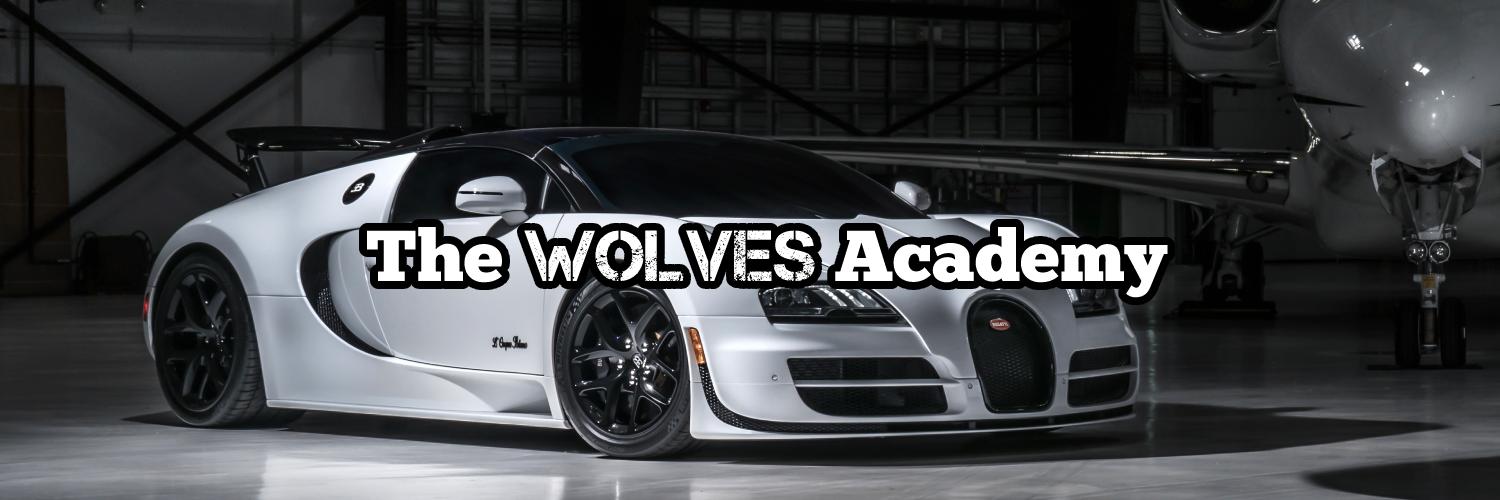 Discovery splash banner for The Wolves Academy Discord server