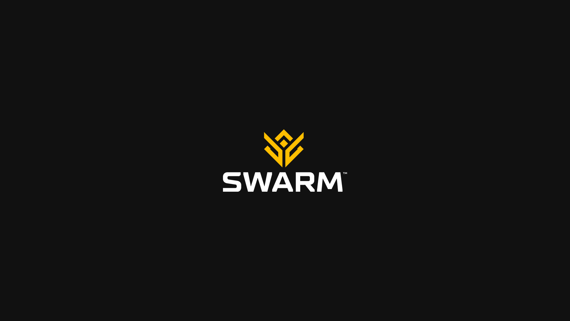 Discovery splash banner for SWARM Discord server