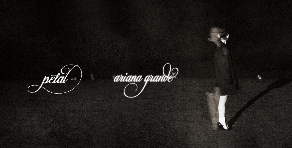 Discovery splash banner for Ariana Grande ꕤ ⋆ petal ˚₊ Discord server
