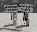 Discovery splash banner for ✿ bℓossom ໑ ˚﹒ Discord server