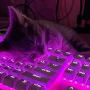 Discovery splash banner for Dolls Discord server