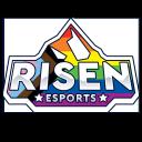 Discovery splash banner for Risen Esports Discord server