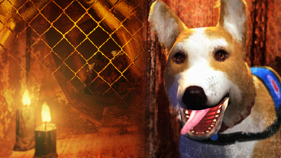 Discovery splash banner for Kira LLC Discord server
