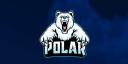 Discovery splash banner for Polar Rust Discord server