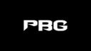 Discovery splash banner for PBG Discord server