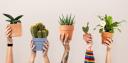 Discovery splash banner for Plants / Houseplants / Gardening • Ploi Discord server