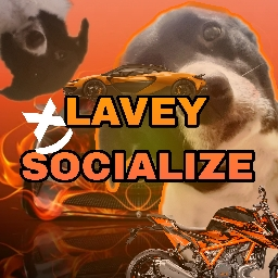 Discovery icon for Lavey Socialize | Active VC Server • Hangout • Call • Social • Chill • Anime • Ask to Dm • Emojis Discord server
