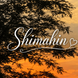 Discovery icon for SHIMAHIN Discord server