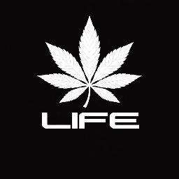 Discovery icon for LiFE ESPORTS • 🇮🇳 1800+ Discord server