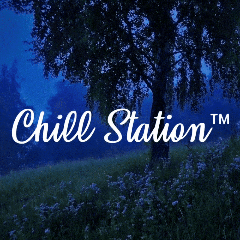 Discovery icon for CHILL STATION Discord server