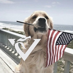 Discovery icon for NKC πΊπΈ (FOURTH OF JULY!) Discord server